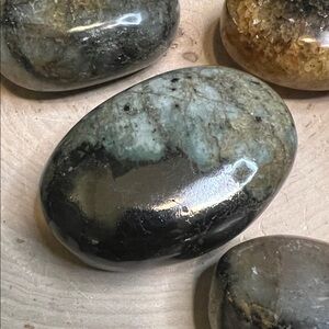 Pyrite and Golden Healer Palm Stone